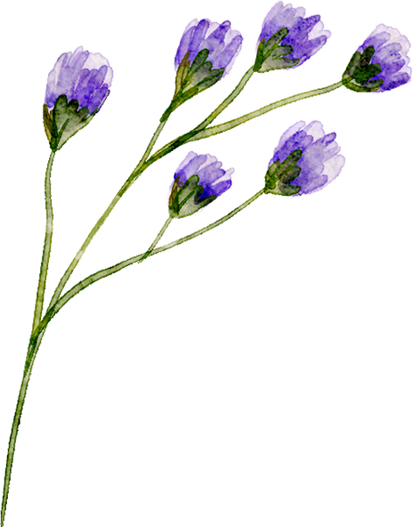 Blue violet watercolor flower branch